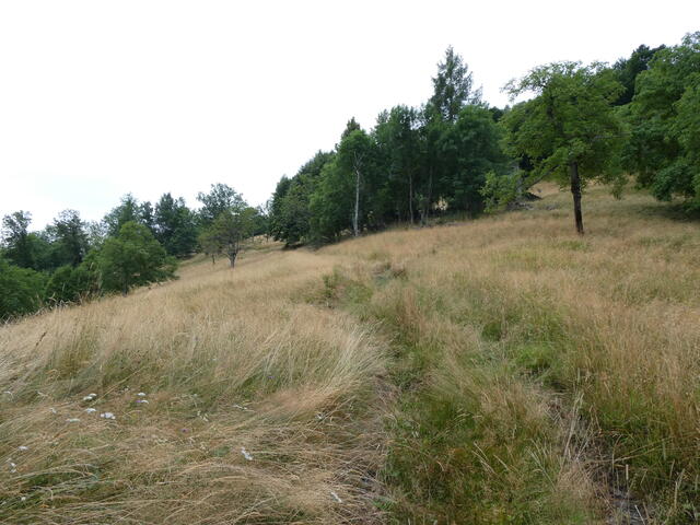 la strada per case Bruciate