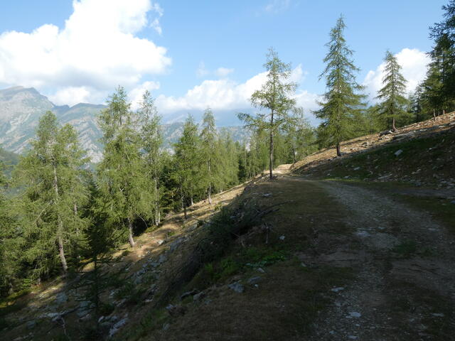 la pista per l'A. Ciabraressa al ritorno