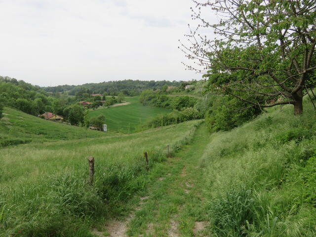 sentiero 51