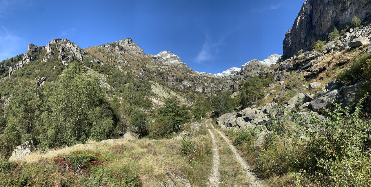 la strada per l'Alpe Vassola