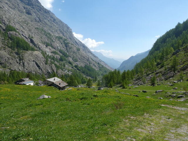 lo sterrato che scende da Pian della Mussa