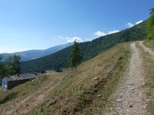 Ex rif. Valanza (lungo)